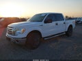 2010 Ford F-150 — photo 2 of 10 | VIN 1FTFW1EV4AKE43129