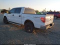 2010 Ford F-150 — photo 3 of 10 | VIN 1FTFW1EV4AKE43129
