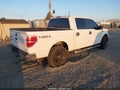 2010 Ford F-150 — photo 4 of 10 | VIN 1FTFW1EV4AKE43129