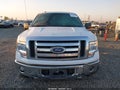 2010 Ford F-150 — photo 6 of 10 | VIN 1FTFW1EV4AKE43129