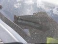 2018 Chevrolet Cruze — photo 17 of 17 | VIN 1G1BC5SM1J7113552