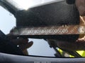 2015 Honda Civic — photo 9 of 15 | VIN 19XFB2F84FE005005