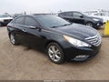 2013 Hyundai Sonata — photo 1 of 11 | VIN 5NPEC4AC7DH775059