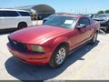 2006 Ford Mustang — photo 2 of 12 | VIN 1ZVFT80N165239481