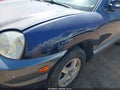 2004 Hyundai Santa Fe — photo 6 of 11 | VIN KM8SC13D44U759409