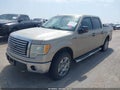 2010 Ford F-150 — photo 2 of 16 | VIN 1FTFW1EV5AFD93155