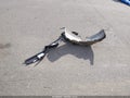 2021 GMC Sierra 1500 — photo 12 of 14 | VIN 3GTU9DED4MG213111