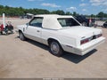 1983 Dodge 400 — photo 3 of 11 | VIN 1B3BV55C0DG165300