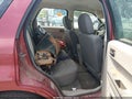 2012 Ford Escape — photo 8 of 16 | VIN 1FMCU0C75CKC43186