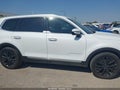 2020 Kia Telluride — photo 13 of 16 | VIN 5XYP5DHC6LG053161