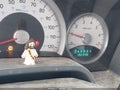 2006 Dodge Dakota — photo 15 of 16 | VIN 1D7HW48K76S536123