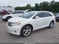 2009 Toyota Venza — photo 2 of 13 | VIN 4T3BK11A89U003821