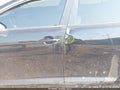 2011 Kia Optima — photo 12 of 13 | VIN KNAGM4A72B5093483