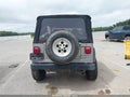 2001 Jeep Wrangler — photo 17 of 17 | VIN 1J4FA29P11P371349