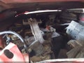 2003 Dodge Dakota — photo 10 of 18 | VIN 1D7HG38X63S296660