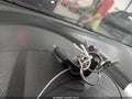 2015 Nissan Versa Note — photo 11 of 18 | VIN 3N1CE2CP1FL396120