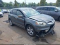 2008 Acura RDX — photo 1 of 16 | VIN 5J8TB18228A008479