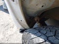 2024 Chevrolet Silverado 2500 — photo 21 of 22 | VIN 1GC4YME74RF183260
