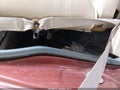 1998 GMC Sierra 1500 — photo 8 of 16 | VIN 1GTEC14W8WZ516001