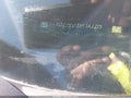 2023 Chevrolet Malibu — photo 9 of 16 | VIN 1G1ZD5ST8PF147215
