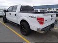 2010 Ford F-150 — photo 3 of 17 | VIN 1FTFW1EV0AFB51924