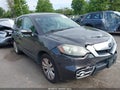 2010 Acura RDX — photo 13 of 13 | VIN 5J8TB1H5XAA007502