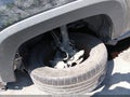 2021 Toyota RAV4 — photo 20 of 21 | VIN 2T3J1RFV3MW157662