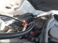 2014 Toyota Sienna — photo 10 of 21 | VIN 5TDKK3DC6ES454184