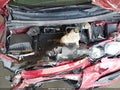 2016 Chevrolet Sonic — photo 10 of 17 | VIN 1G1JC5SHXG4146638