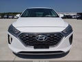 2020 Hyundai Ioniq Hybrid — photo 16 of 20 | VIN KMHC65LC2LU232980