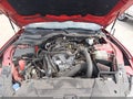 2024 Ford Mustang — photo 10 of 15 | VIN 1FA6P8TH8R5107017