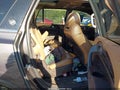 2013 Buick Enclave — photo 8 of 11 | VIN 5GAKVDKD5DJ110108