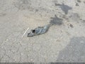 2017 Ford Fiesta — photo 12 of 17 | VIN 3FADP4EJ7HM132015