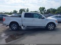 2011 Ford F-150 — photo 13 of 16 | VIN 1FTFW1ET9BFD24405