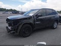 2019 Toyota RAV4 — photo 2 of 18 | VIN JTMH1RFV8KD039292