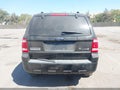 2009 Ford Escape Hybrid — photo 16 of 16 | VIN 1FMCU49379KD10777