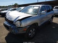 2005 Hyundai Santa Fe — photo 2 of 16 | VIN KM8SC73D55U948204