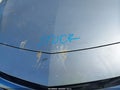 2020 Chevrolet Malibu — photo 10 of 11 | VIN 1G1ZD5ST3LF131854