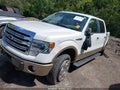 2013 Ford F-150 — photo 2 of 17 | VIN 1FTFW1ET4DKG04548