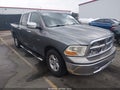 2009 Dodge Ram 1500 — photo 1 of 16 | VIN 1D3HB13P29S754473
