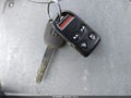 2008 Honda Odyssey — photo 11 of 11 | VIN 5FNRL38478B103792