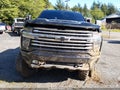 2020 Chevrolet Silverado — photo 15 of 19 | VIN 1GC4YVEY4LF280481