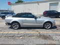 2006 Ford Mustang — photo 14 of 17 | VIN 1ZVFT85H165196862