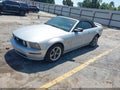 2006 Ford Mustang — photo 2 of 17 | VIN 1ZVFT85H165196862