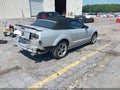 2006 Ford Mustang — photo 4 of 17 | VIN 1ZVFT85H165196862