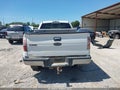 2009 Ford F-150 — photo 16 of 16 | VIN 1FTPW14V69FB43439