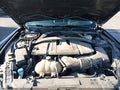 2022 Ford Mustang — photo 10 of 16 | VIN 1FA6P8CF1N5112651