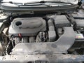2016 Hyundai Sonata — photo 10 of 10 | VIN 5NPE24AF8GH426767