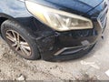 2016 Hyundai Sonata — photo 6 of 10 | VIN 5NPE24AF8GH426767