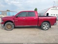 2009 Dodge Ram 1500 — photo 15 of 17 | VIN 1D3HV13T89J504794